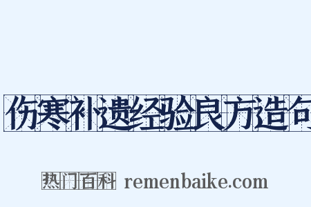 伤寒补遗经验良方造句是什么意思的图片